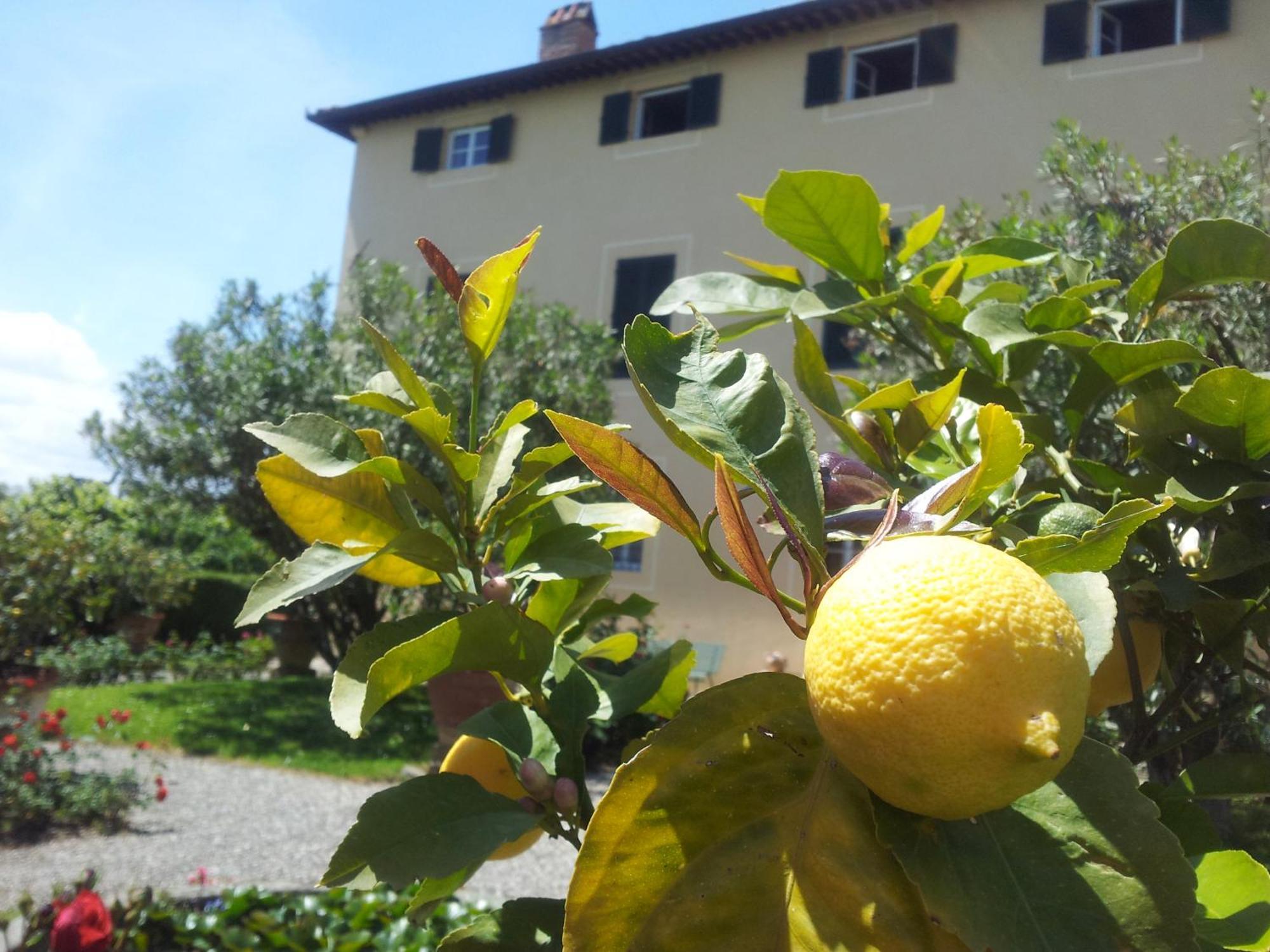 Fattoria Gambaro Di Petrognano Villa กอลโลดี ภายนอก รูปภาพ