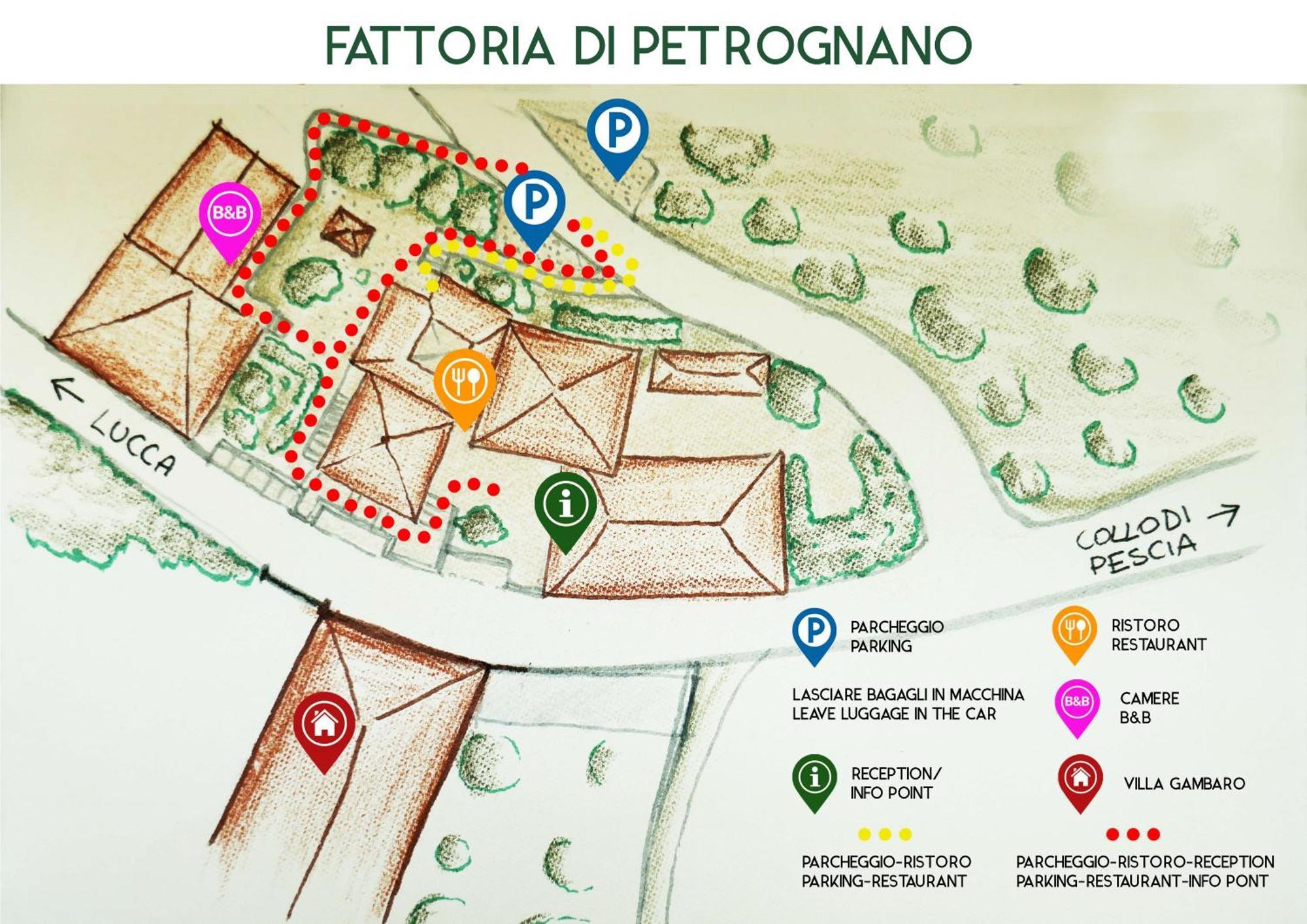 Fattoria Gambaro Di Petrognano Villa กอลโลดี ภายนอก รูปภาพ
