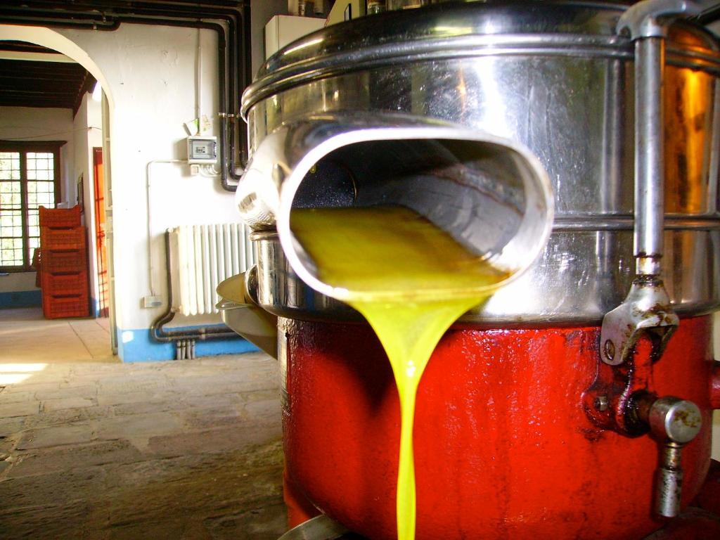 Fattoria Gambaro Di Petrognano Villa กอลโลดี ภายนอก รูปภาพ