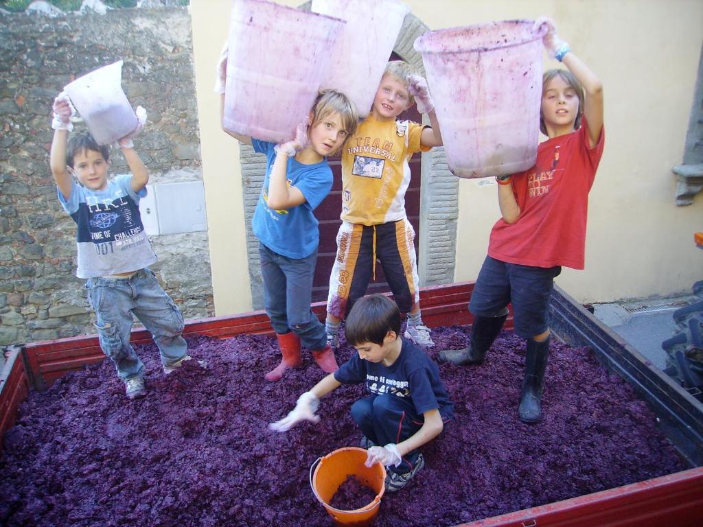 Fattoria Gambaro Di Petrognano Villa กอลโลดี ภายนอก รูปภาพ
