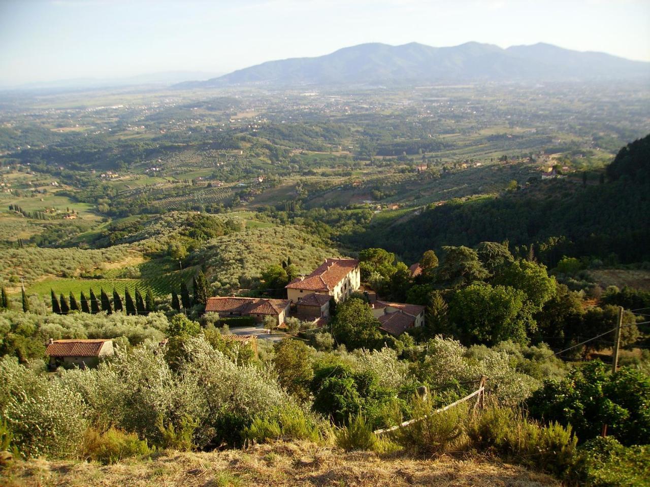 Fattoria Gambaro Di Petrognano Villa กอลโลดี ภายนอก รูปภาพ